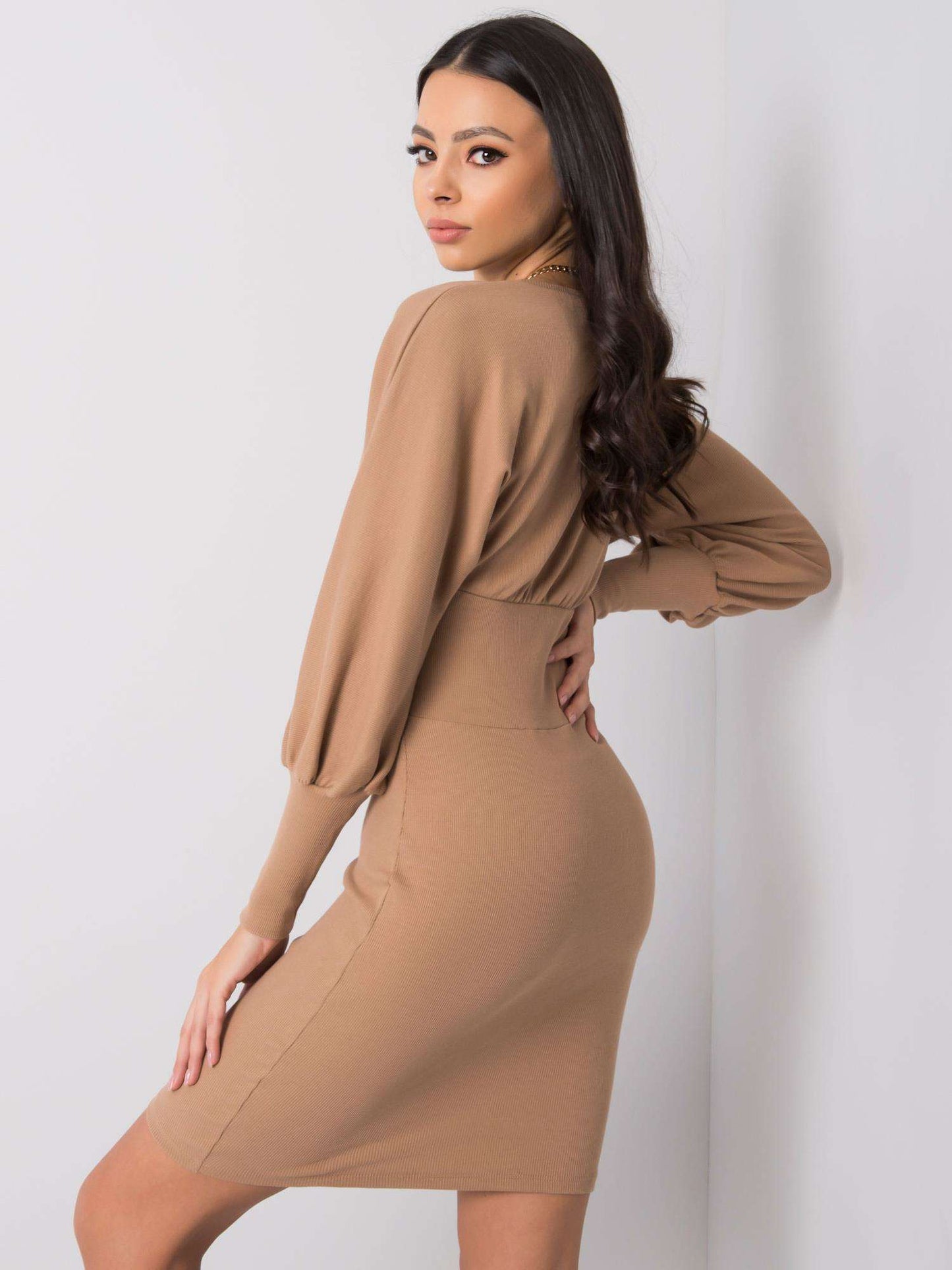Beige Waisted Pencil Dress